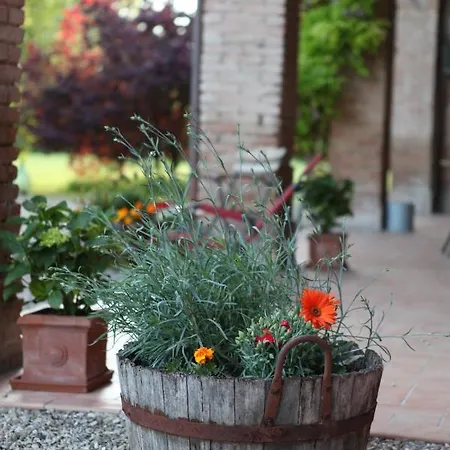 Podere Merlo 4*