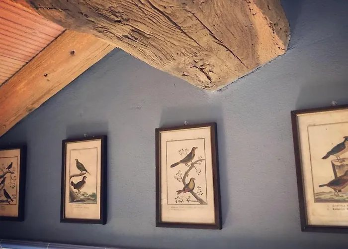 Podere Merlo Bed & Breakfast