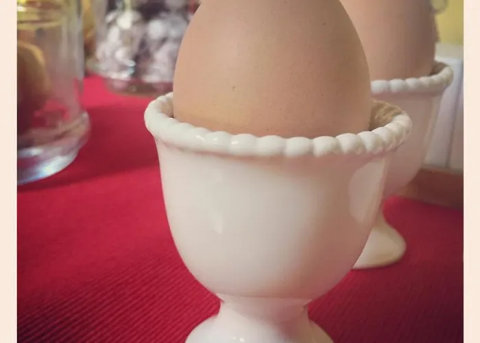 Bed & Breakfast Podere Merlo 4*