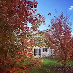 Bed & Breakfast Podere Merlo
