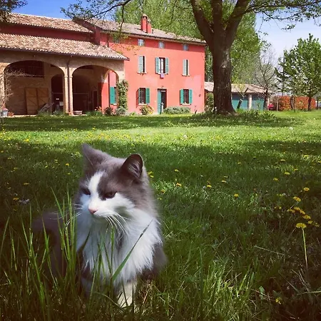 Panzió Podere Merlo *