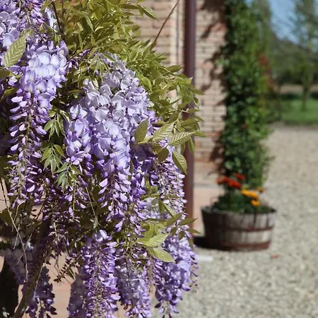 Bed and breakfast Podere Merlo