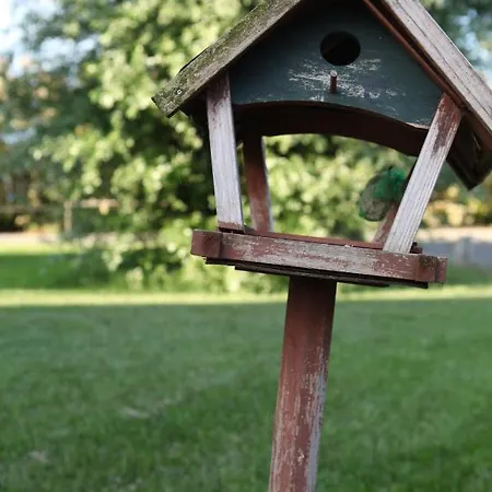 Oda ve Kahvaltı Podere Merlo