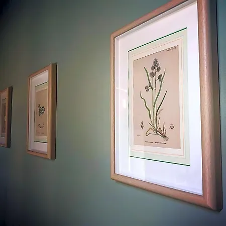 Podere Merlo Bed and breakfast