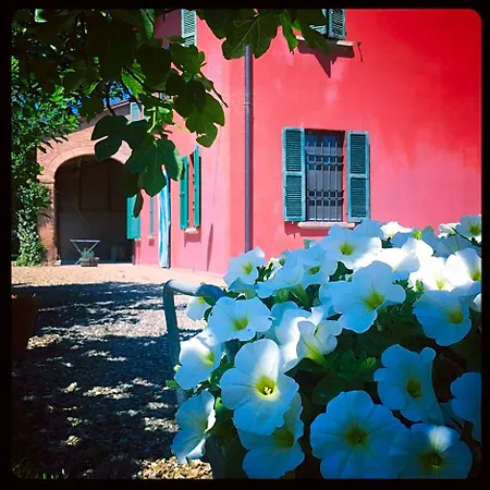 Podere Merlo Bed and breakfast