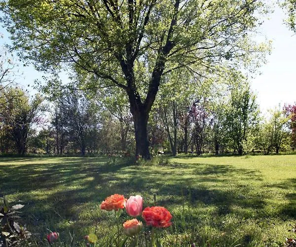 Podere Merlo