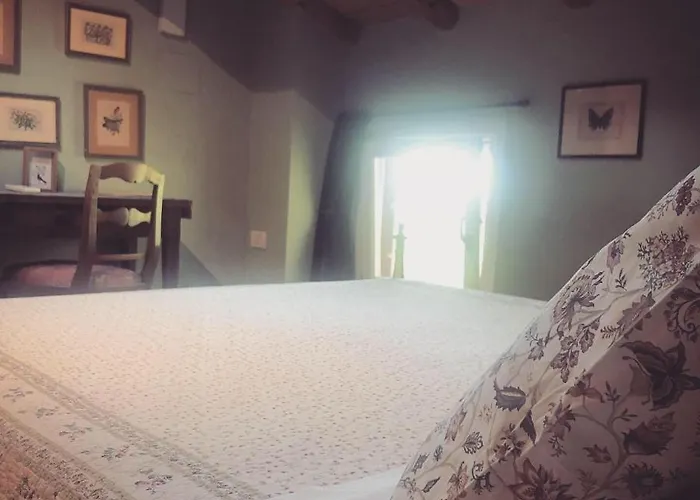 Alojamento de Acomodação e Pequeno-almoço Podere Merlo